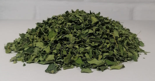 Contraindicaciones consumo de Moringa