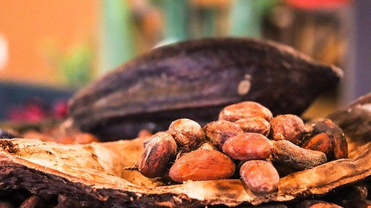 Beneficios del Cacao Puro Bio para la salud| Benatury.com