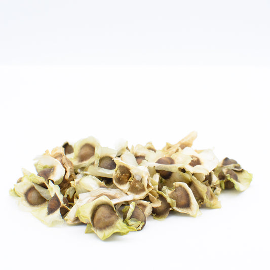 Semillas de Moringa Oleífera | Benatury.com