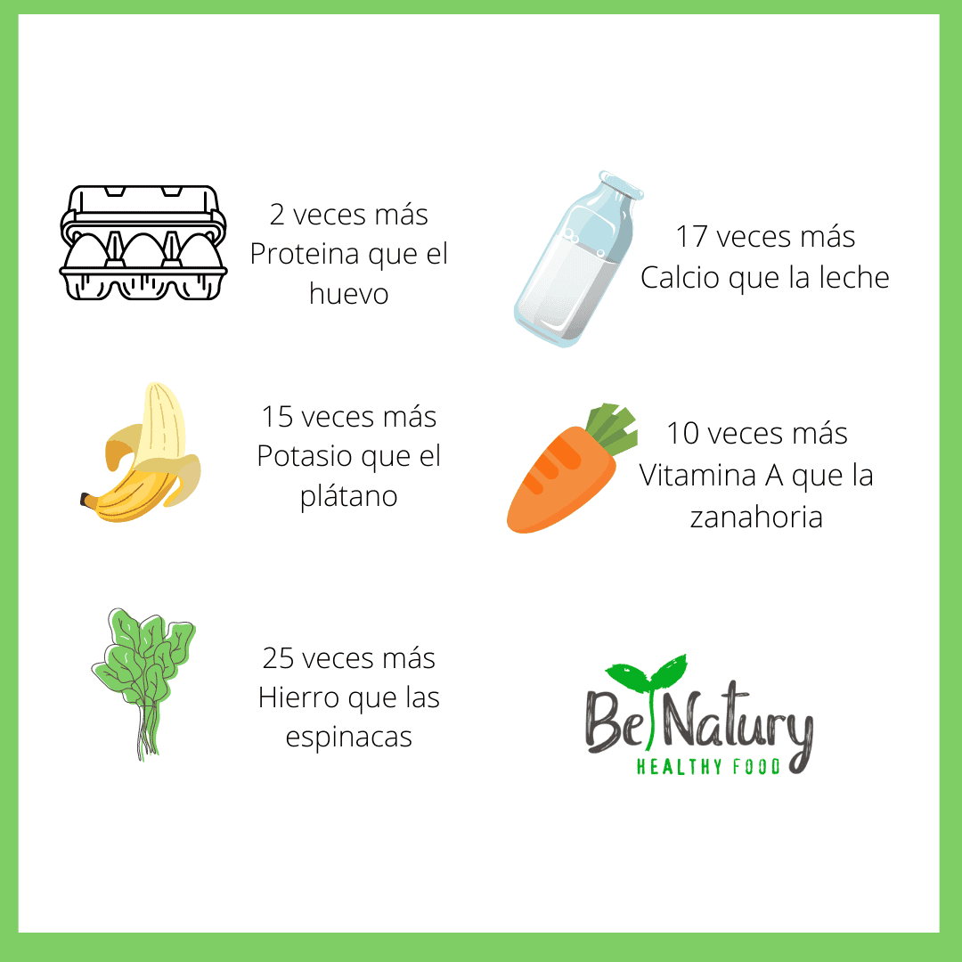 Moringa ecológica BeNatury superalimento natural