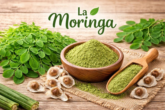 ¿Qué cura la moringa? Beneficios reales y para qué sirve